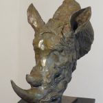 De passage - Rhinoce¦üros - LAFFAILLE