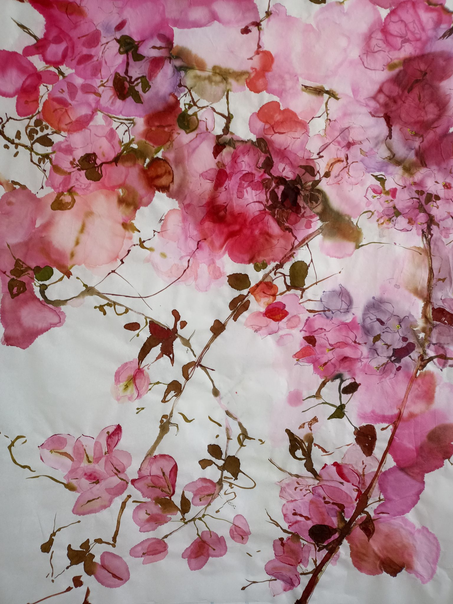 bougainvilliers-80-x-110