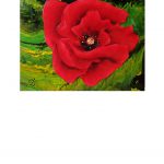Coquelicot rouge