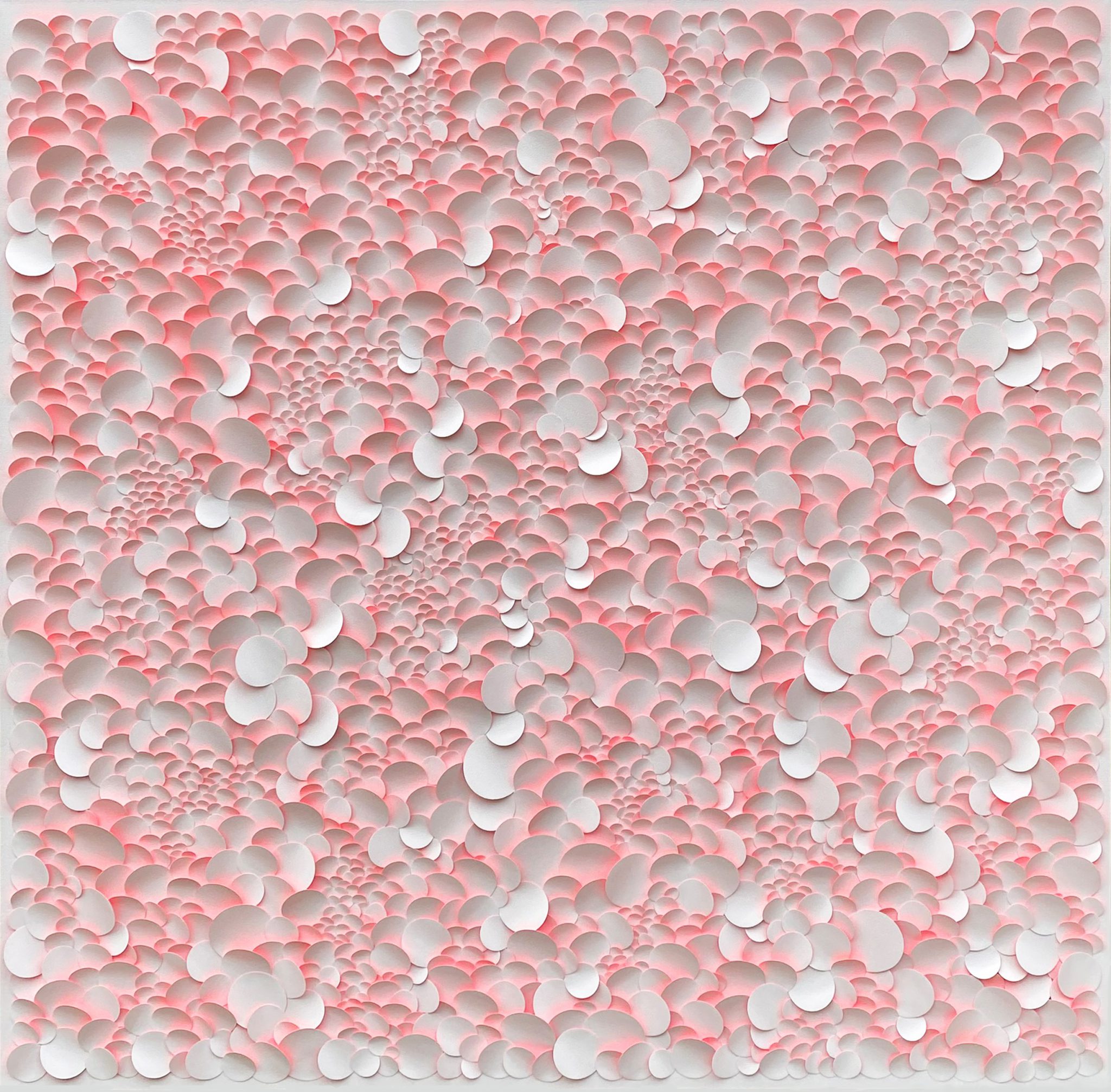 bichrome-32