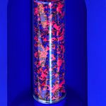 Capsule 2