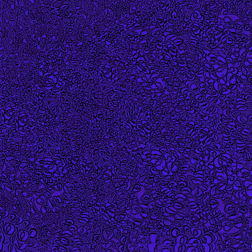 banksiameteore-2