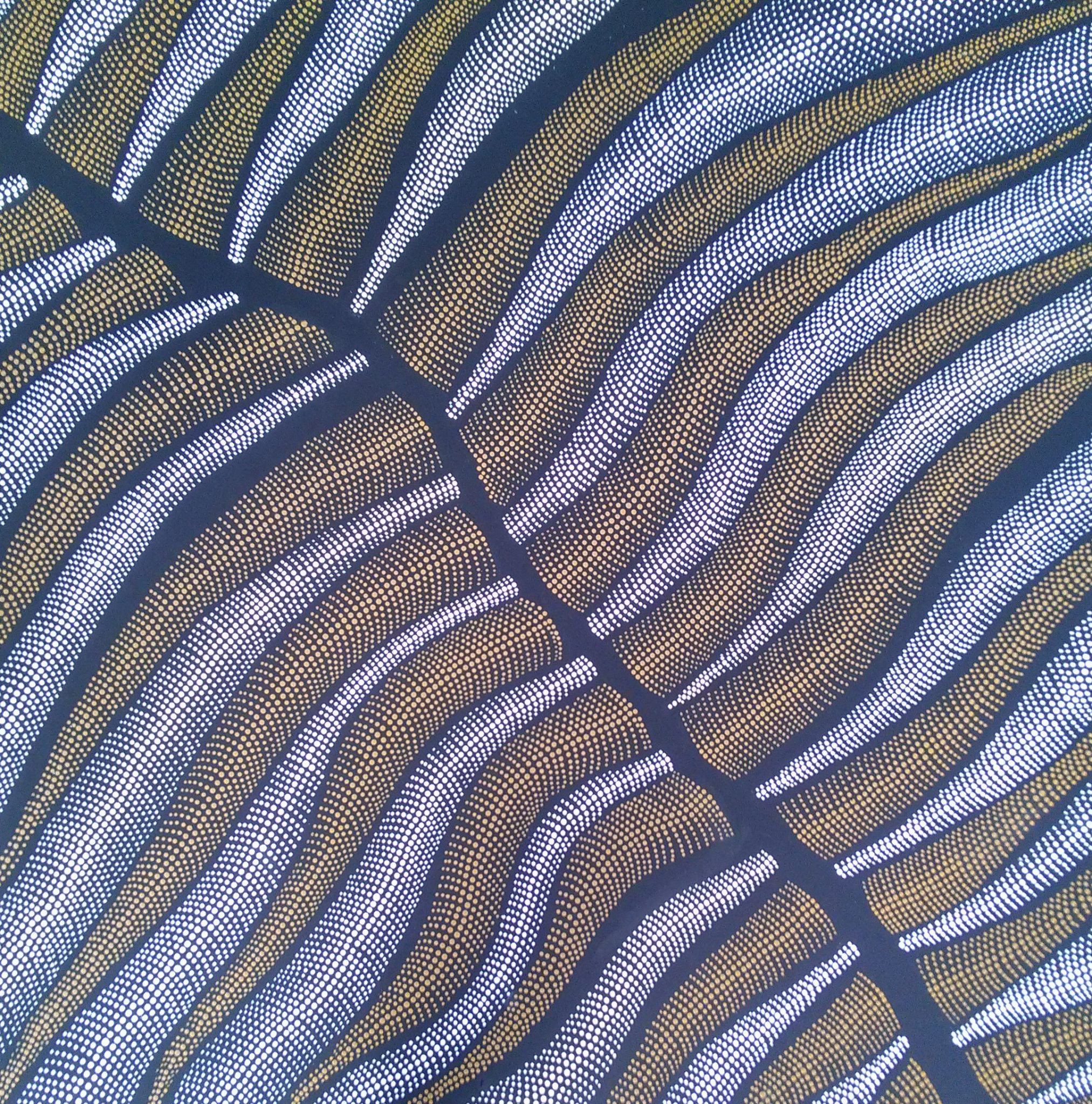 twenty-nine-palms