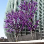 Arbres à photosynthèse, 2009 Tokyo