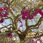 Arbre aux fruits célestes