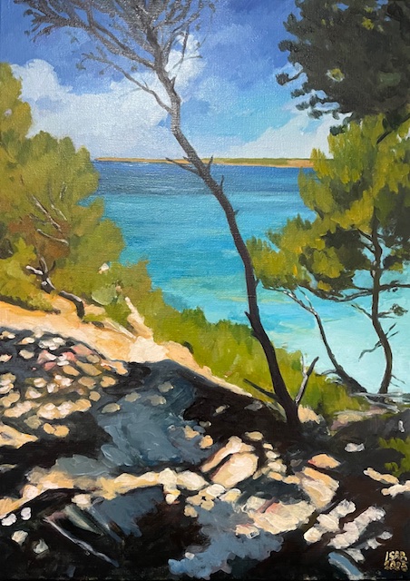 chemin-dans-les-calanques