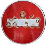 OCTOPUS par Jinks Kunst