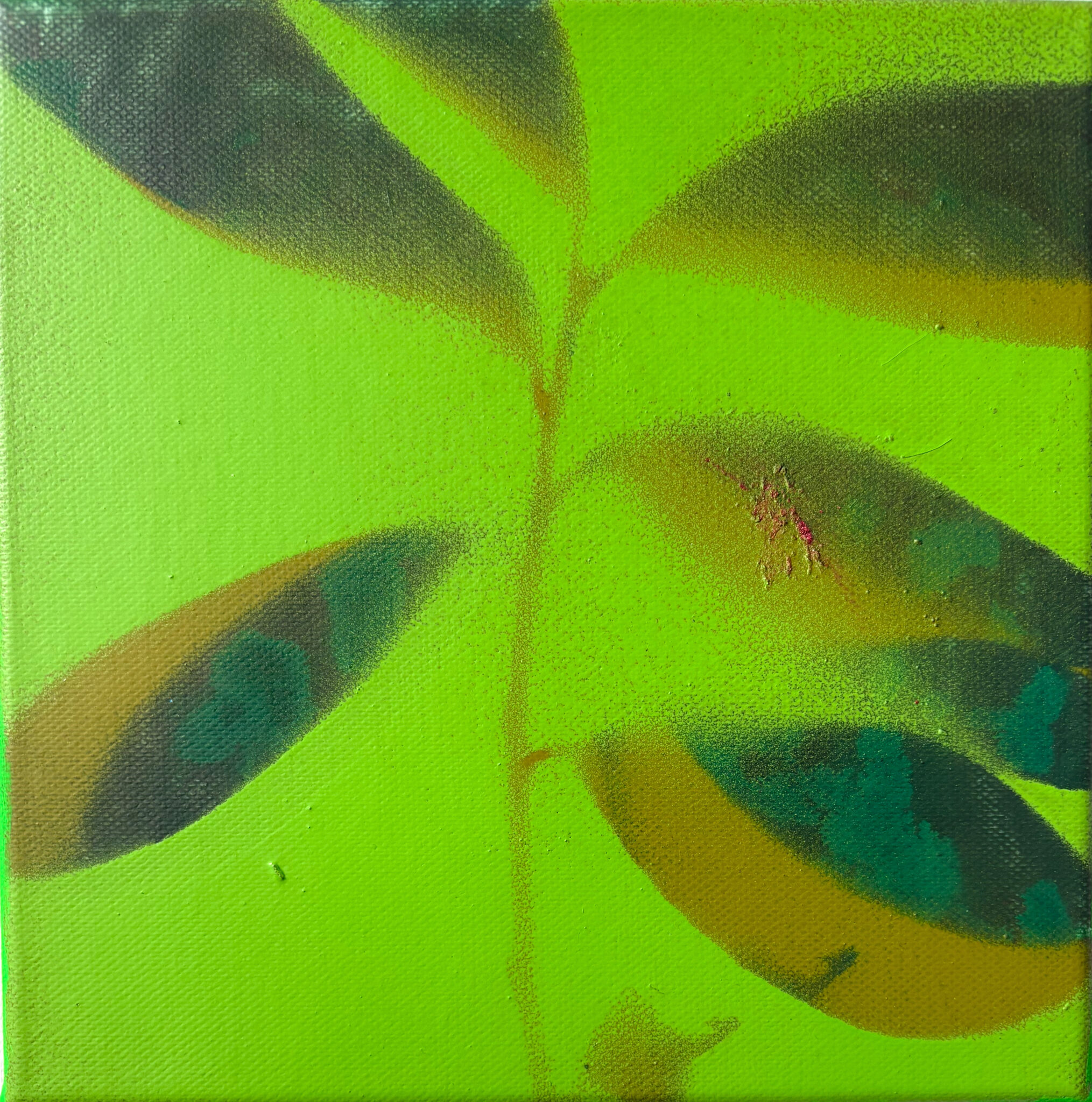 amazonia-detail-02