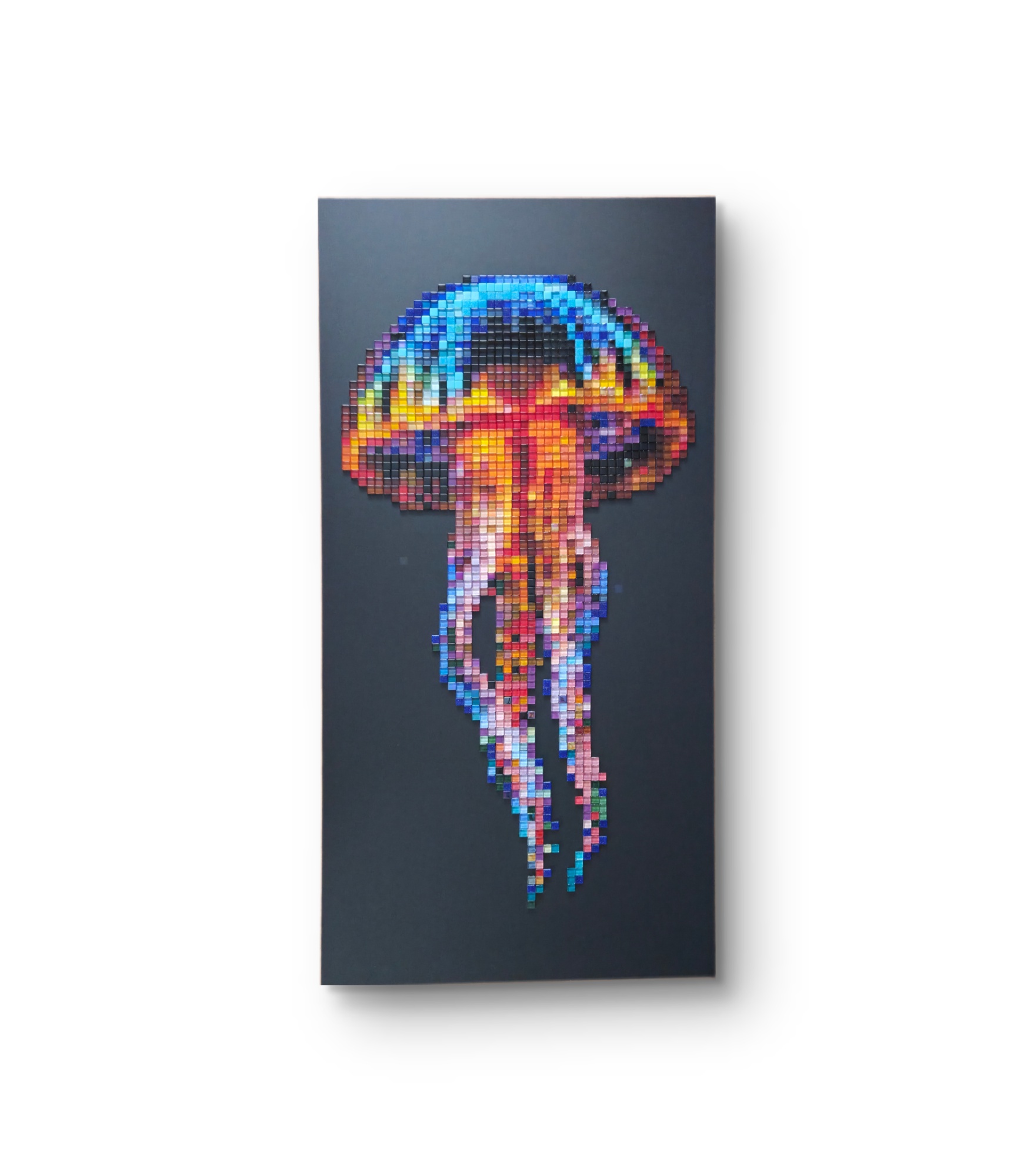 jellyfish-1
