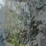 Wind Series 6 