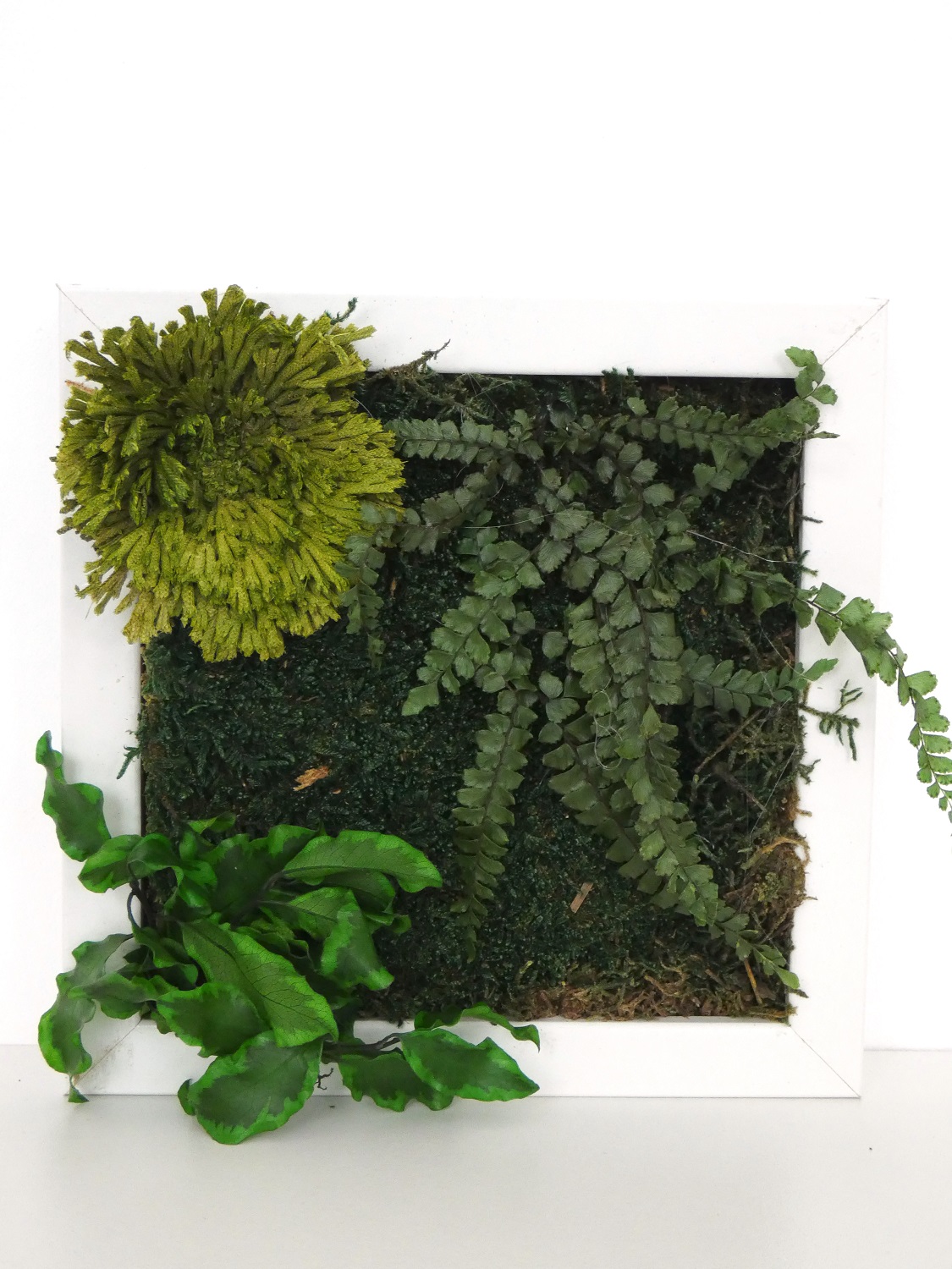 tableau-vegetal
