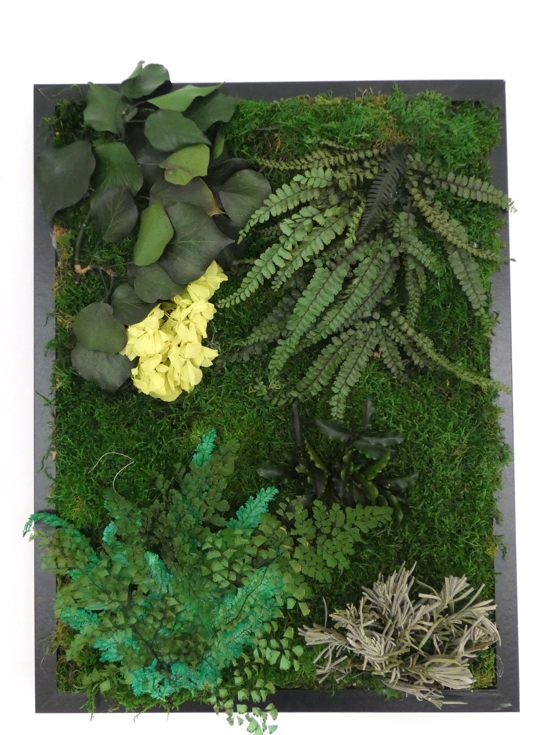 tableau-vegetal-2