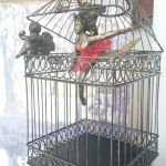 20161111la galerie les hommes en cage02
