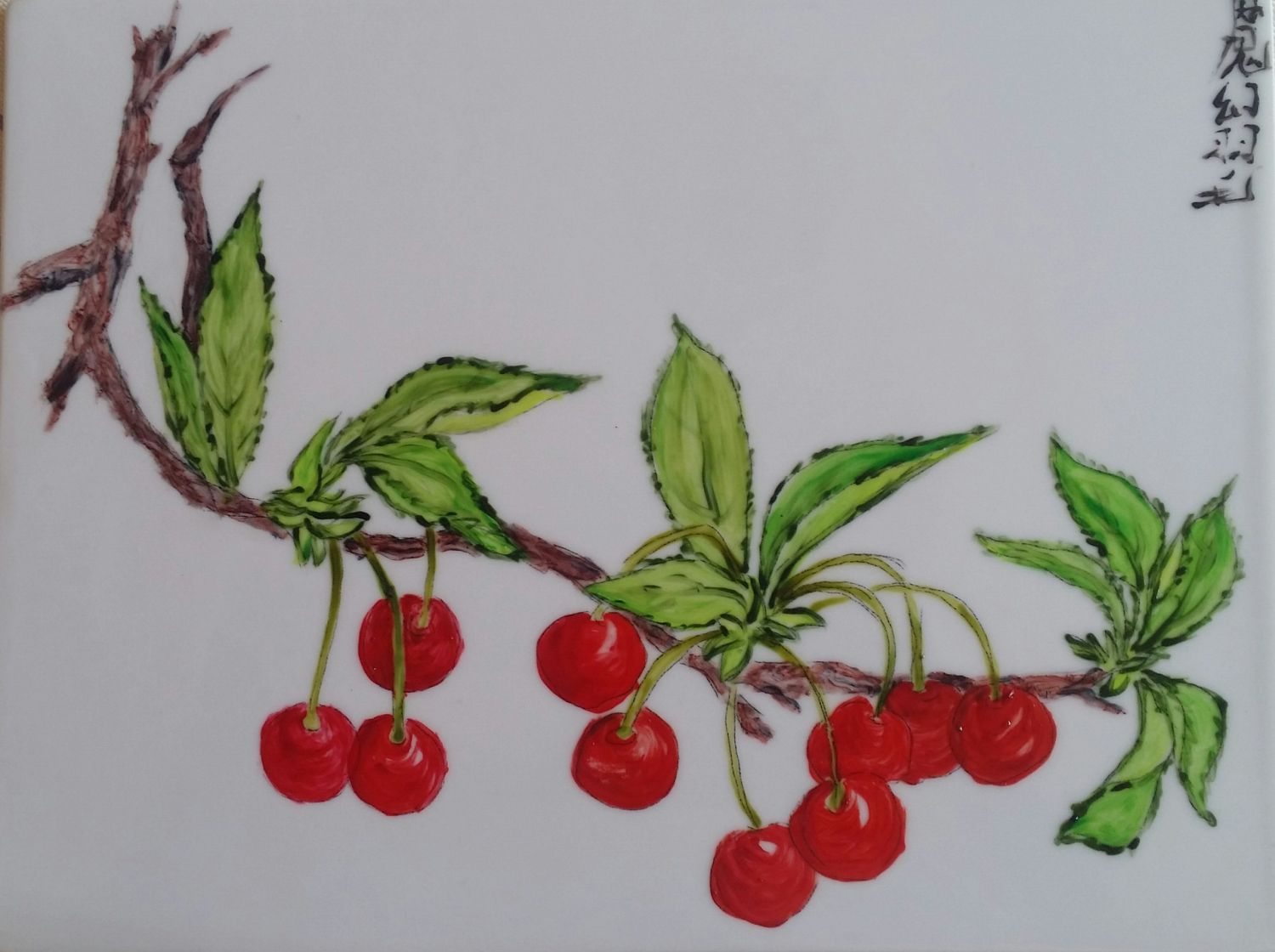 cerises-sur-la-branche