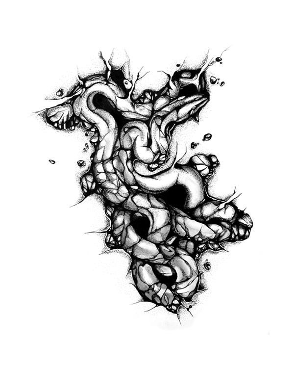 snake-rock