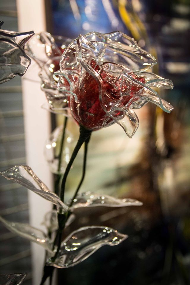 roses-plexiglas-11