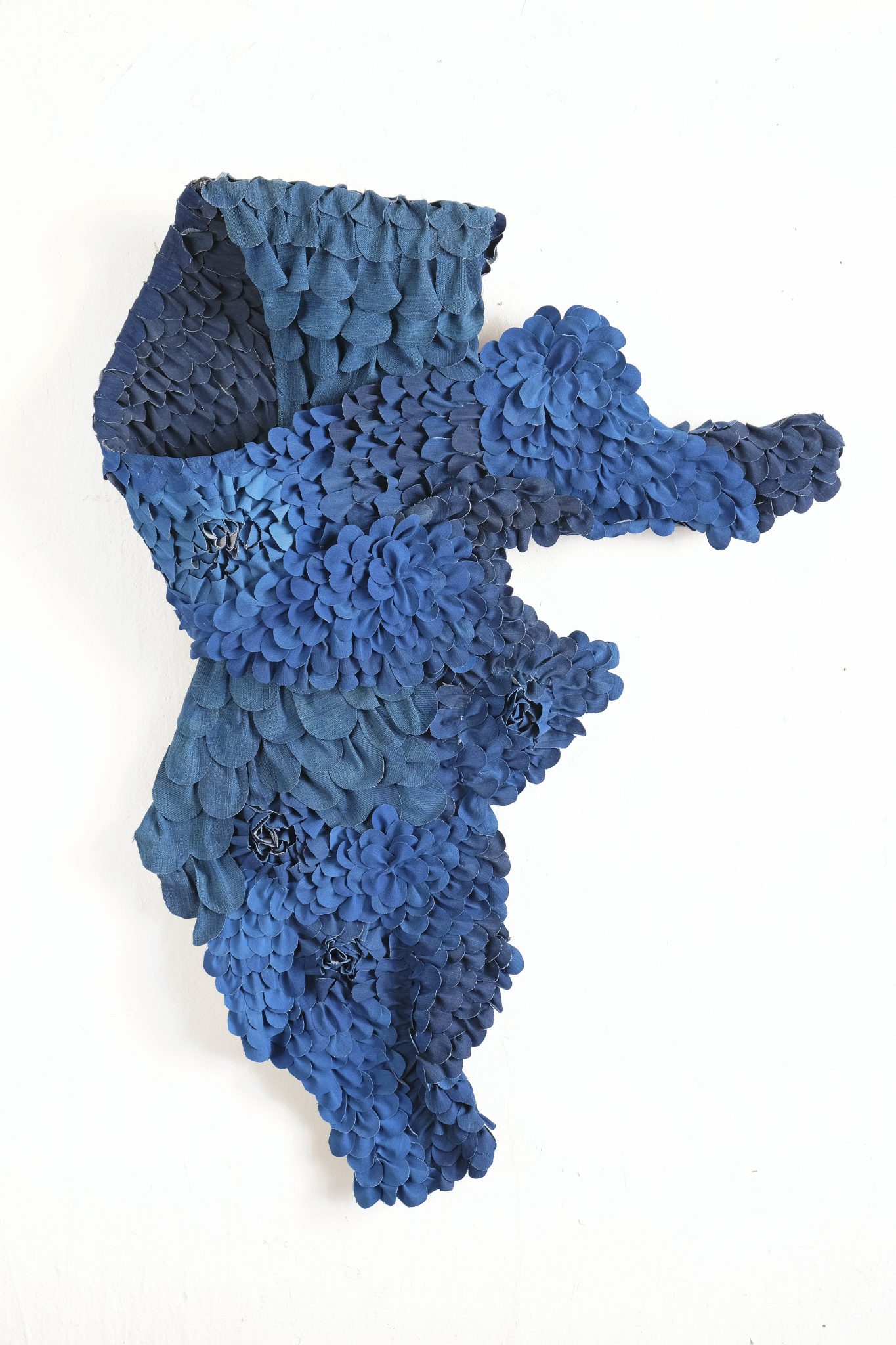 fleur-bleue-2018