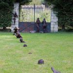 Infini 8 Nicole Brousse sculpteur Jardin Saint Remy