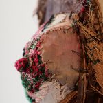 sein fibre par PIRON ISABELLE