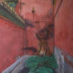 Efflorescence 