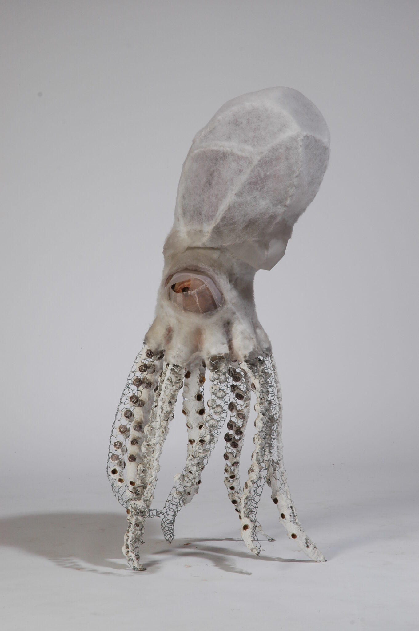 cephalopode-h-72-cm