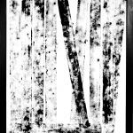 Empreinte Figure 2