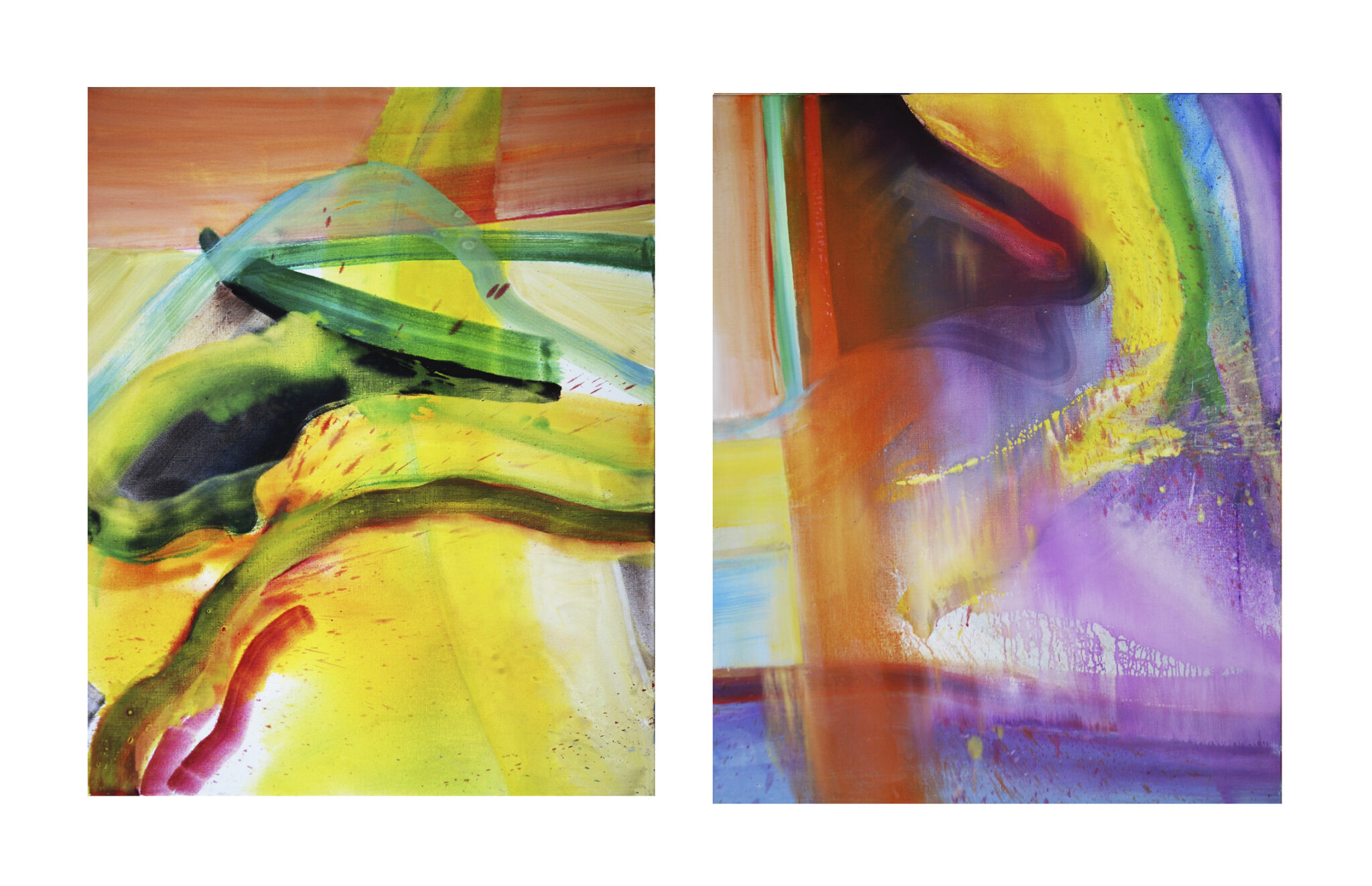 2024-les-goemons-diptyque-huile-sur-toile-100-x-80-cm