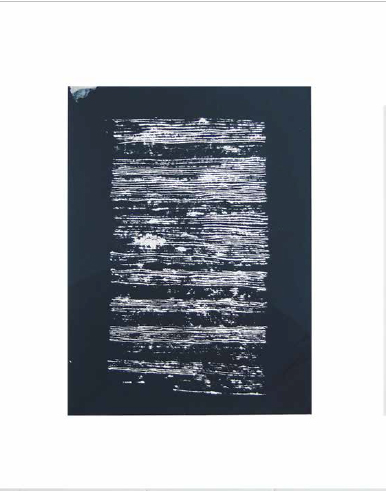 serigraphie-julia-perrin-12