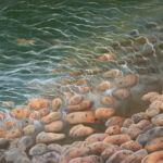 Reflets, marine VII par Alexis Chartraire