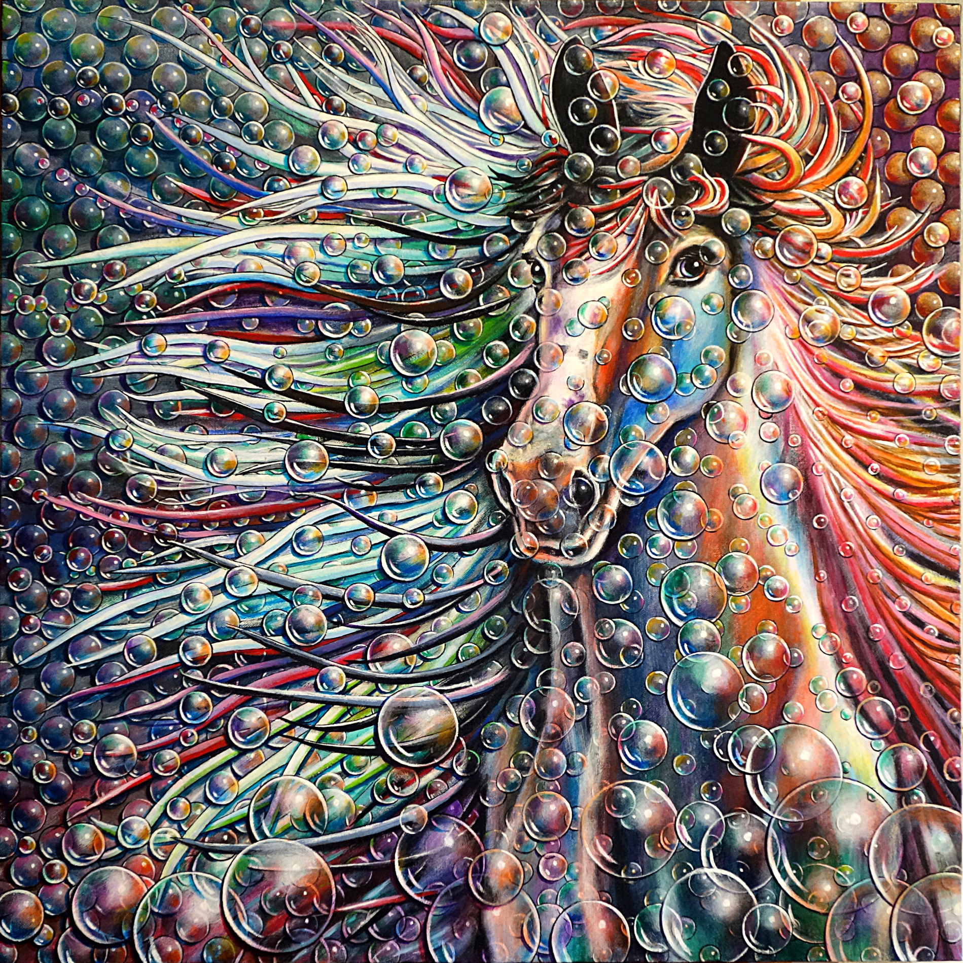 cheval-2-a