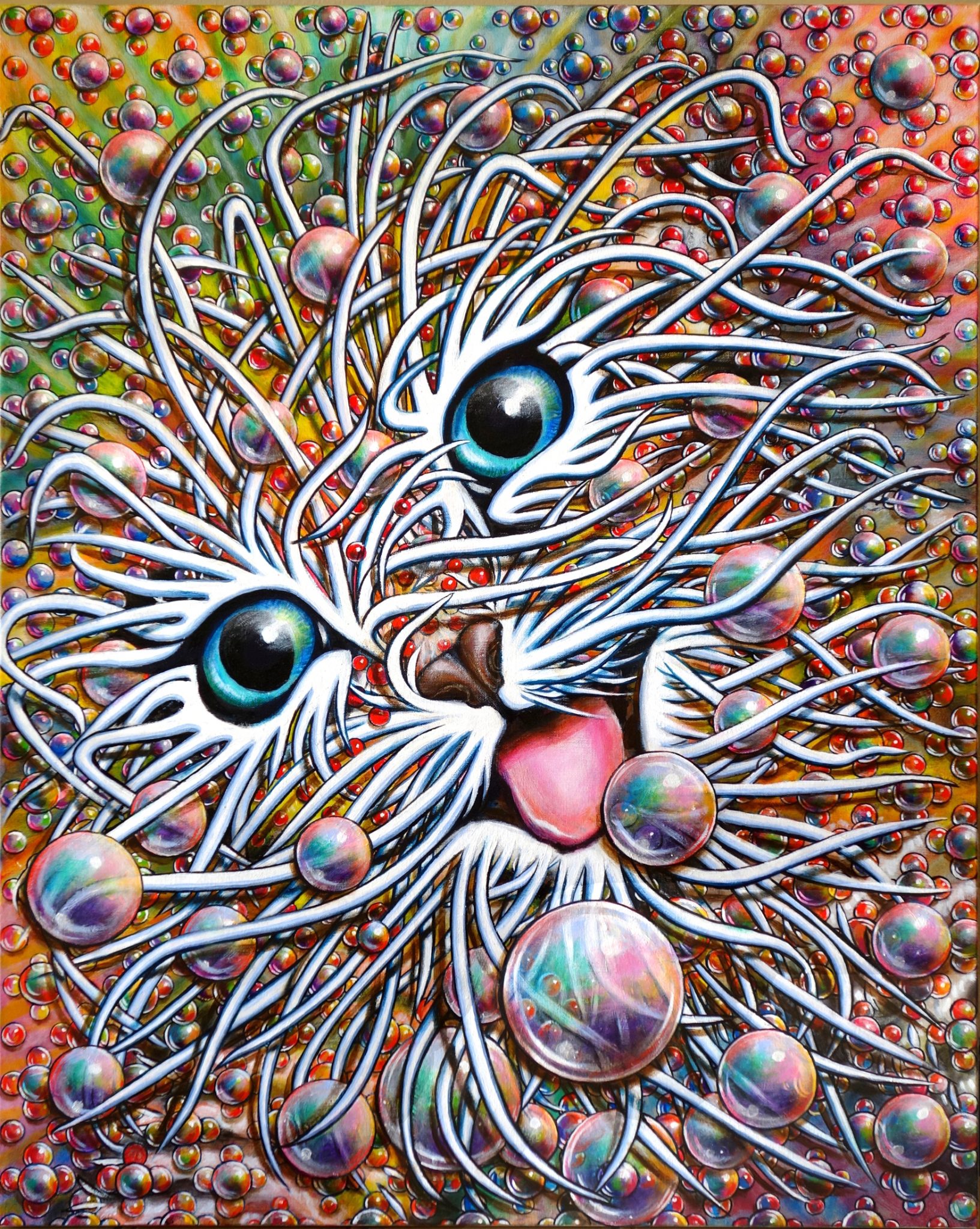 chaton-8