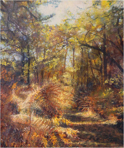 le-chemin-ombrage