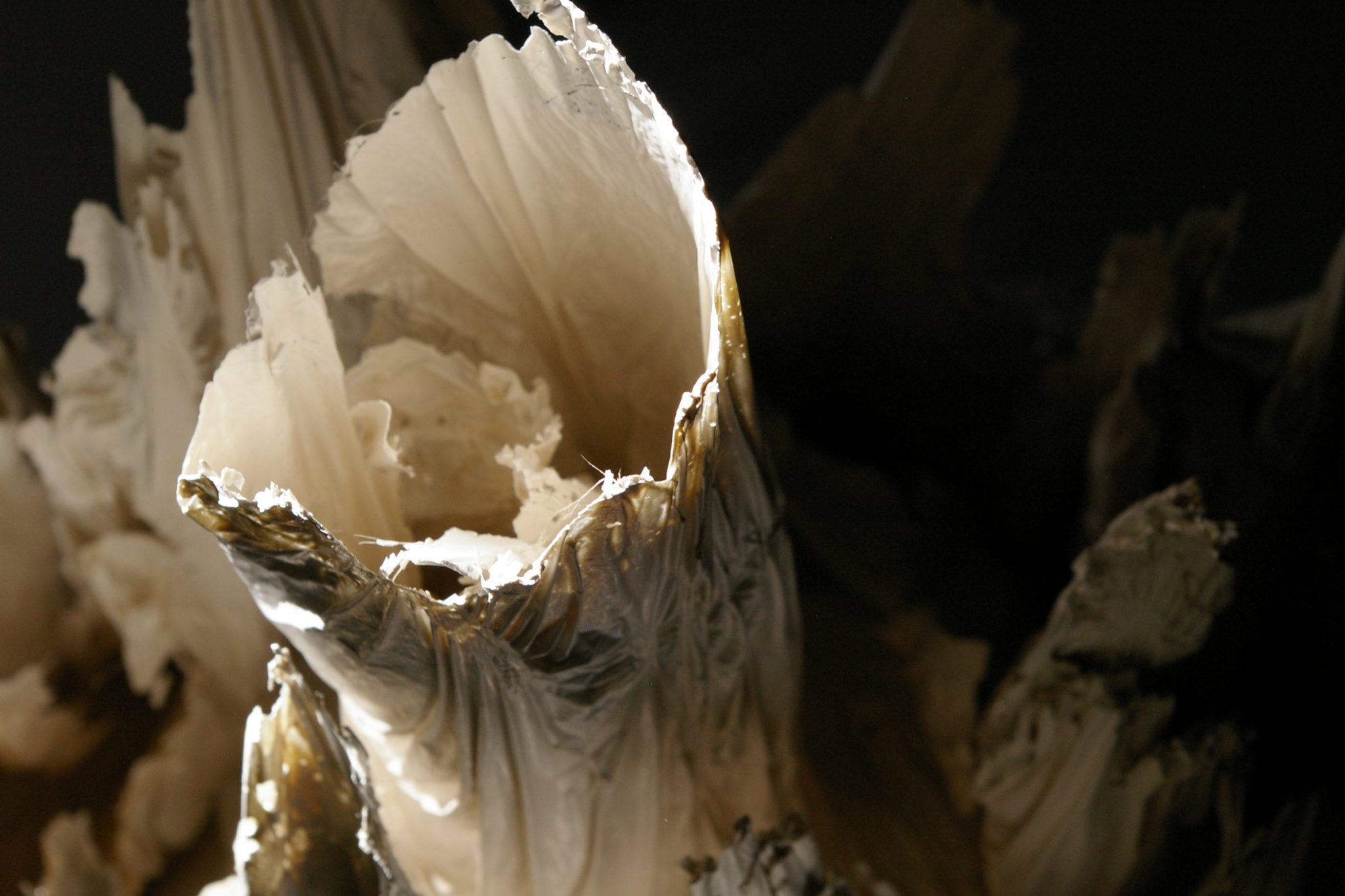 volcan-tazieff-detail