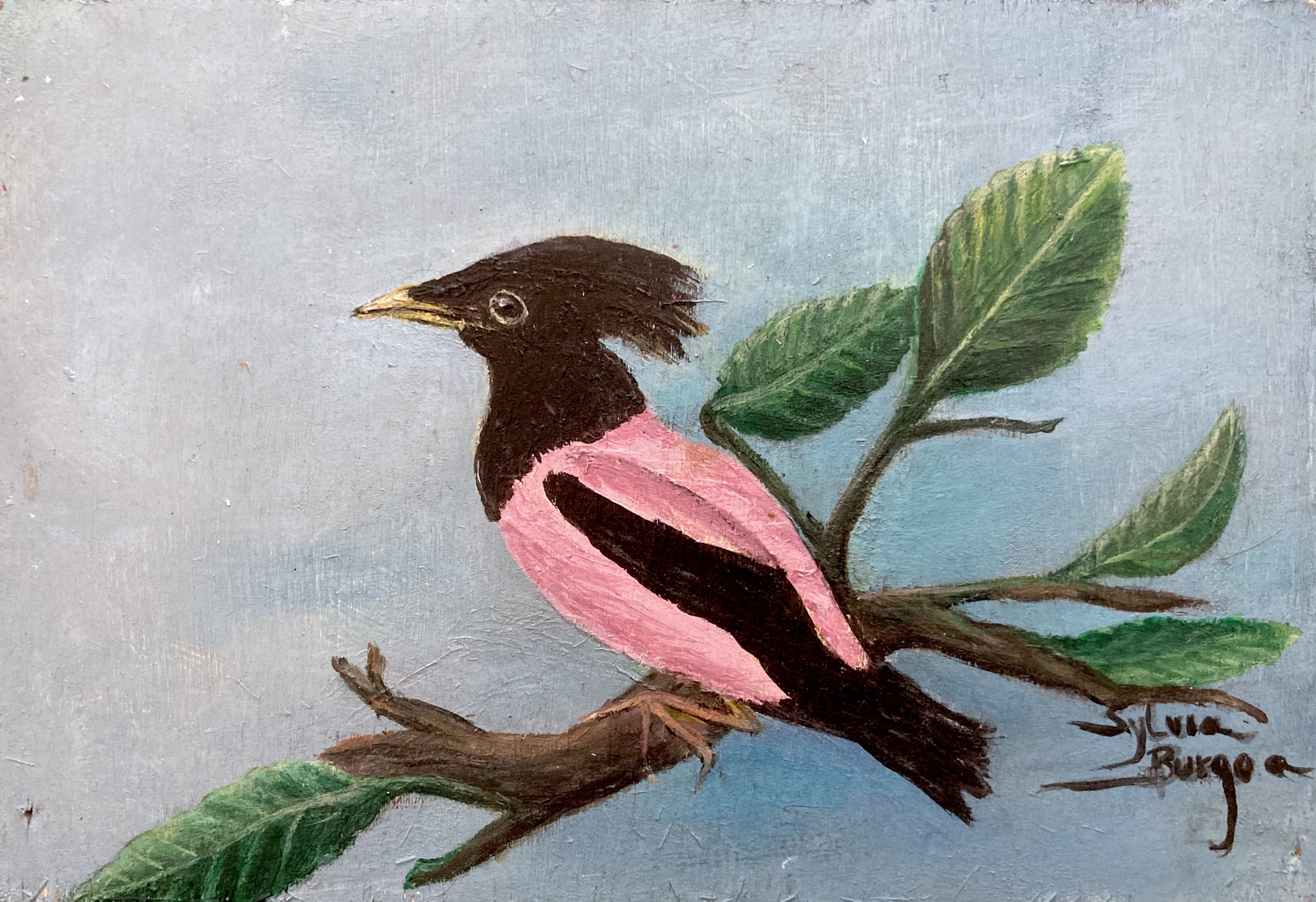 serie-oiseaux-n-1