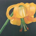 Cadeau par SYLVIA BURGOA