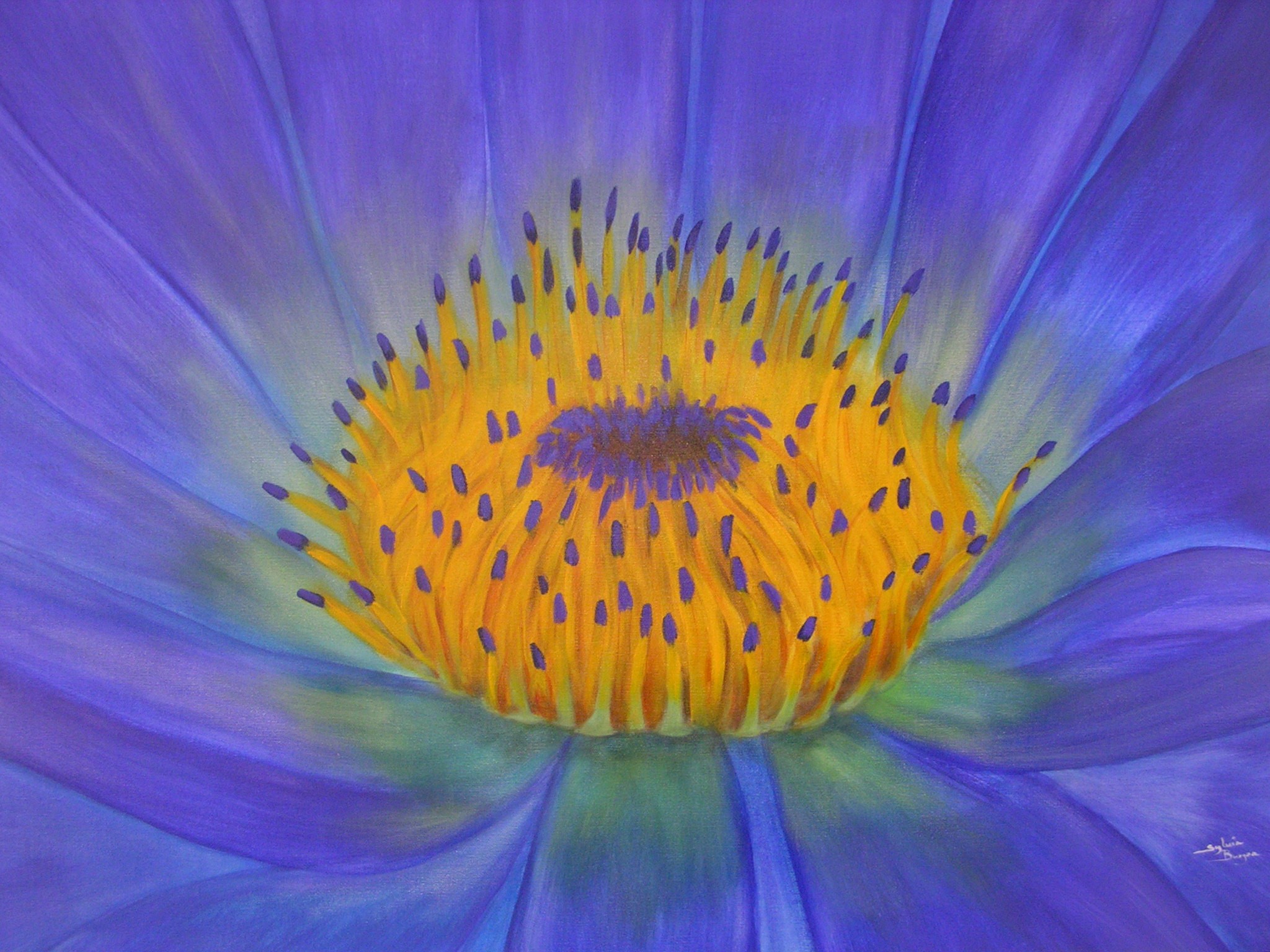 indigo