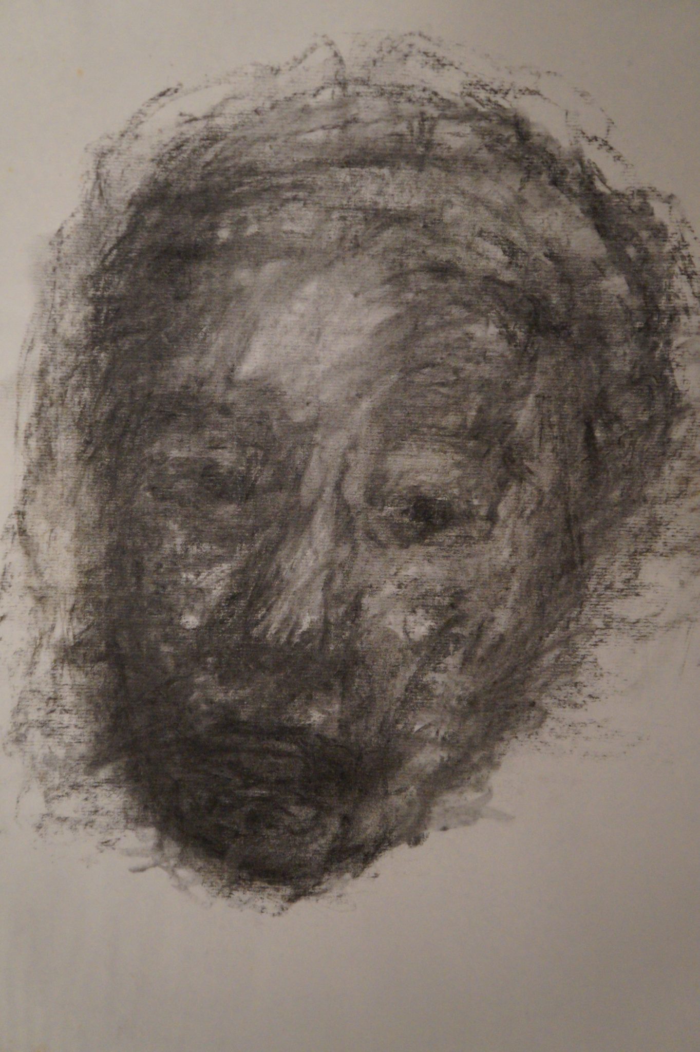 dsc00217