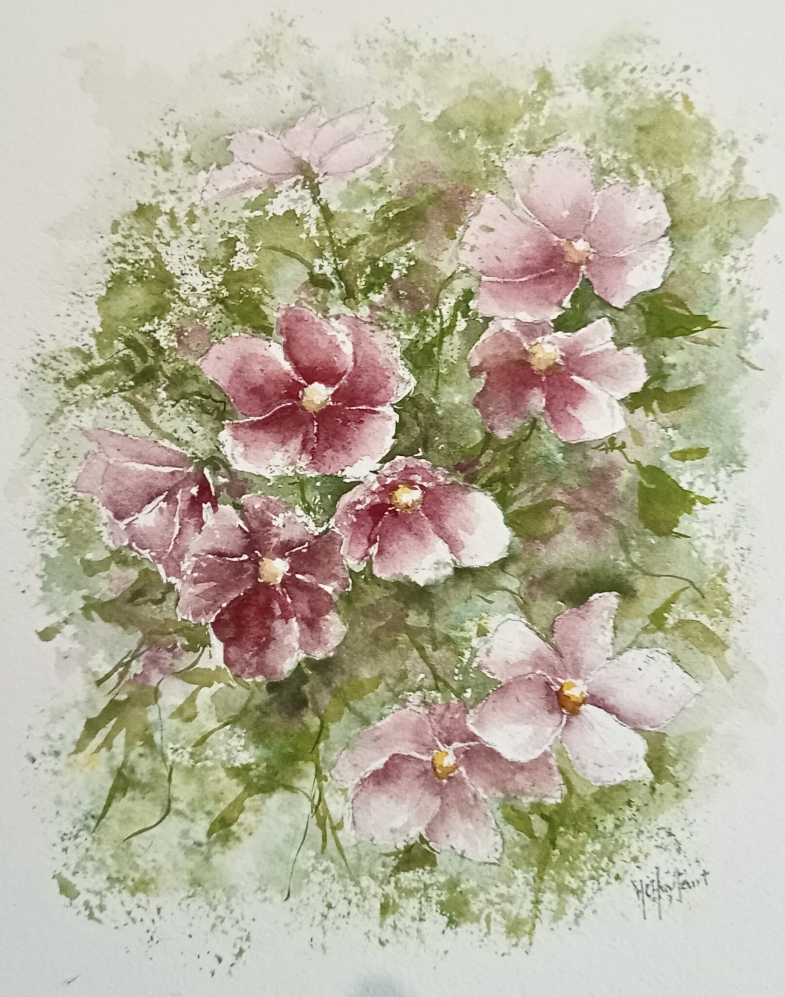 anemones-du-japon-2