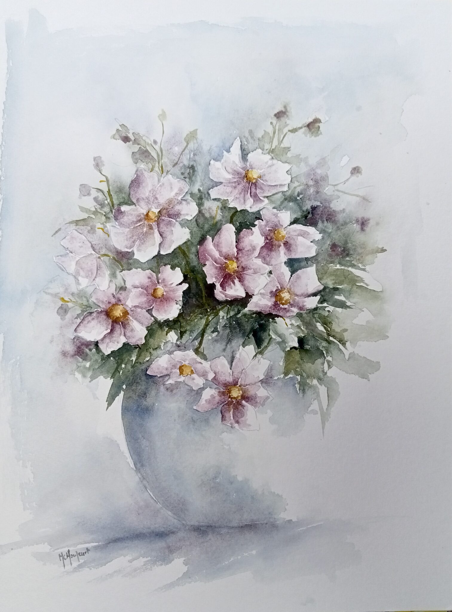 anemones-du-japon