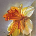 fleur_de_printemps-croize_neveen