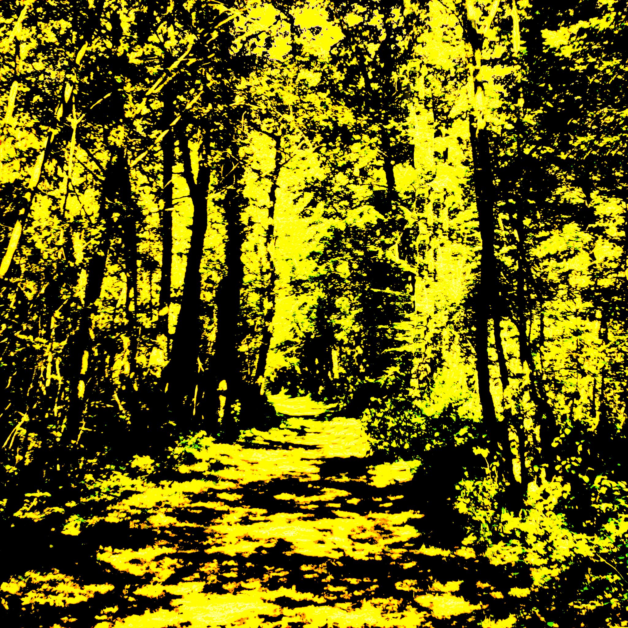 de-la-lumiere-lausanne-technique-mixte-100-x-100-cm