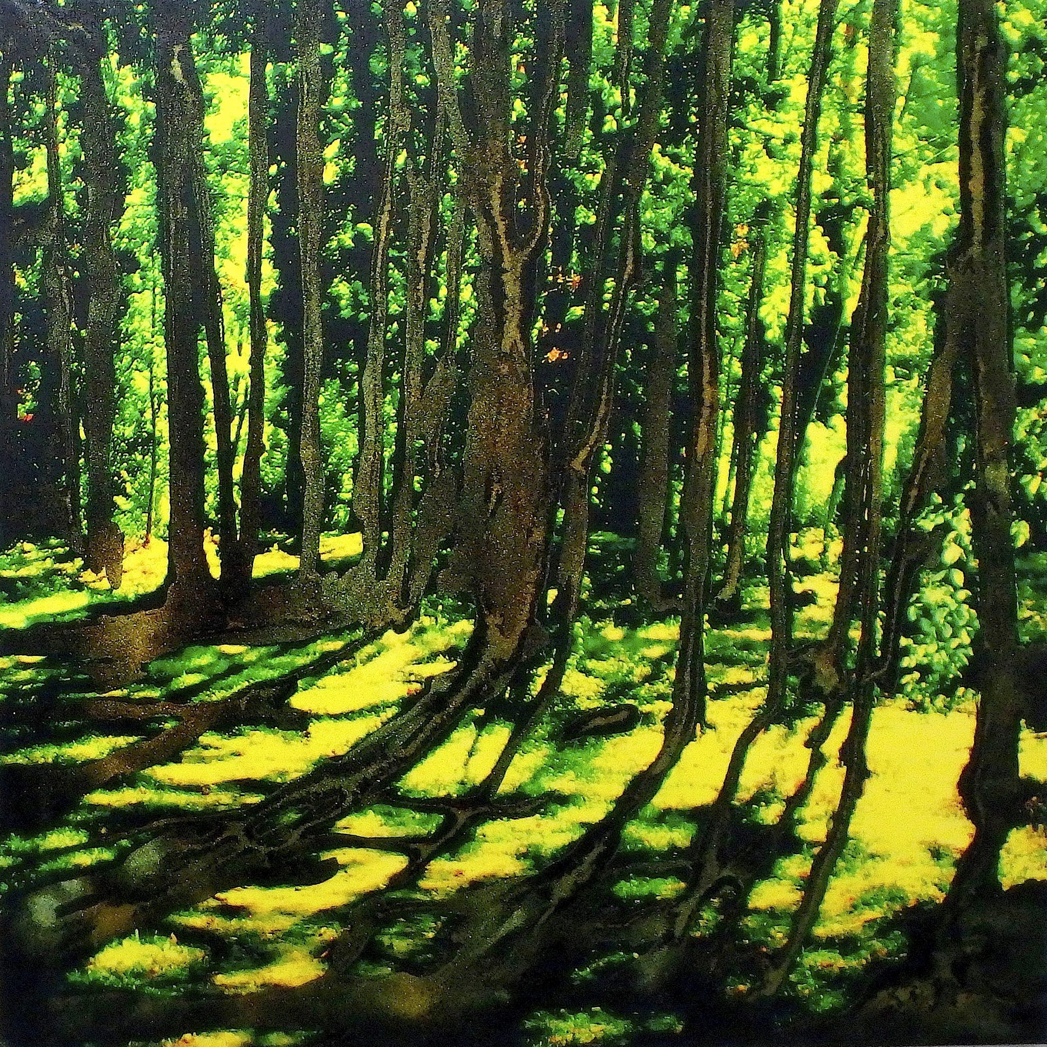 un-matin-en-foret-lausanne-technique-mixte-sur-toile-100-x-100-cm