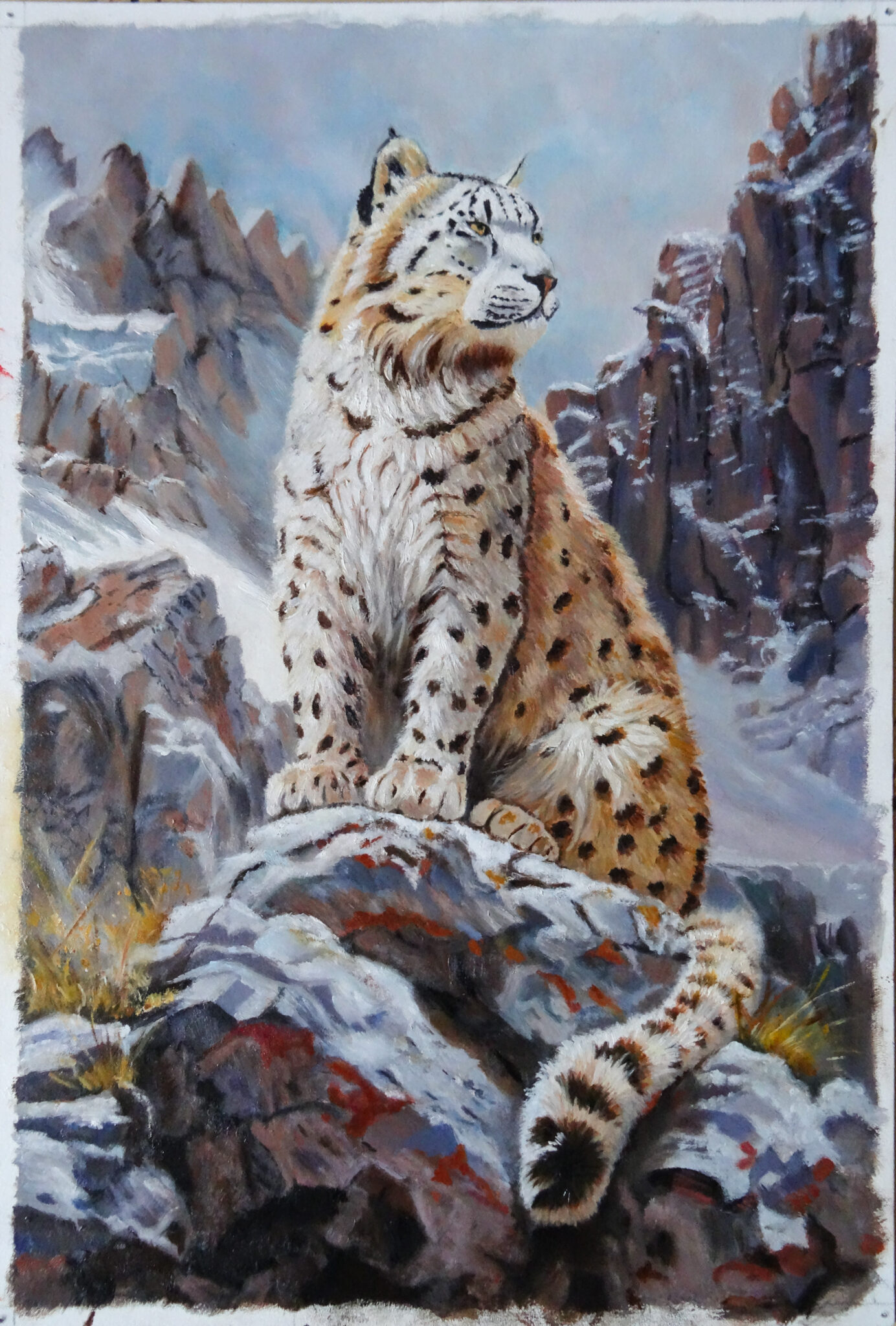 panthere-des-neiges-3