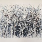 Monzies-Crops-2017