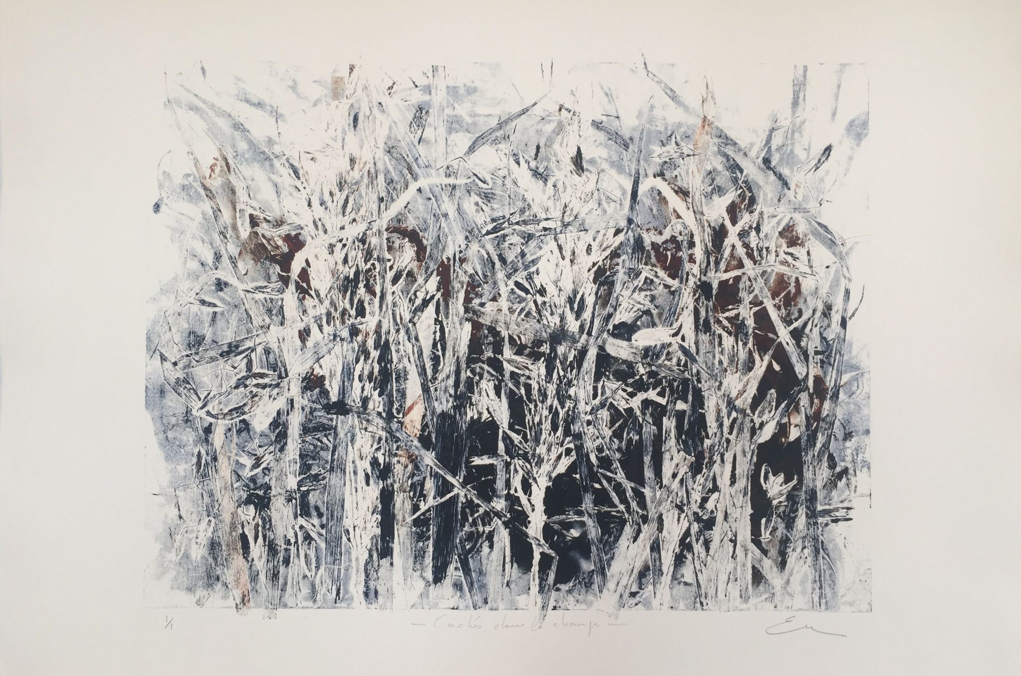 monzies-crops-2017