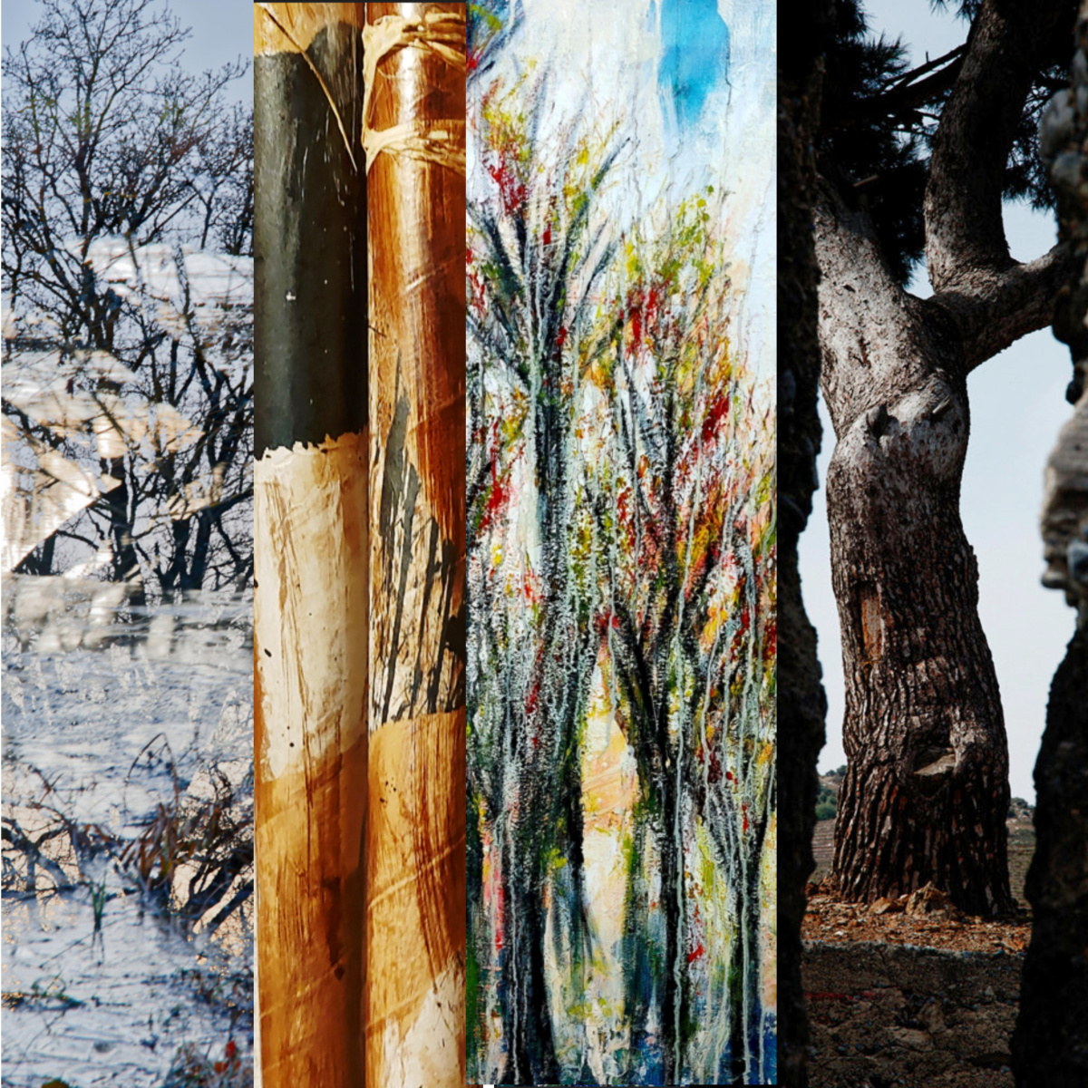 L’arbre dans tous ses états